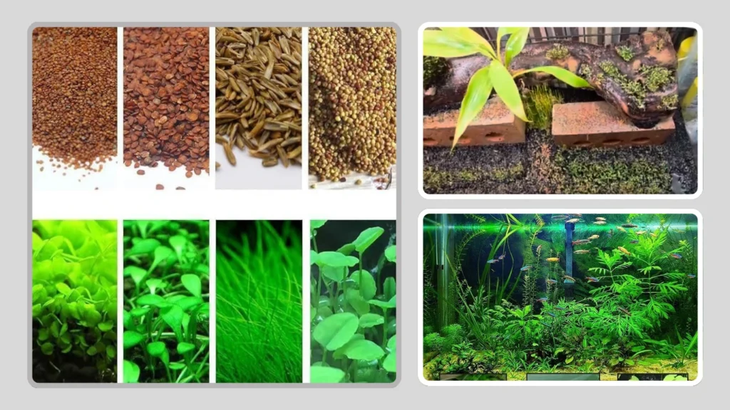 Aquarium Artificial Plastic Plant with Substrate