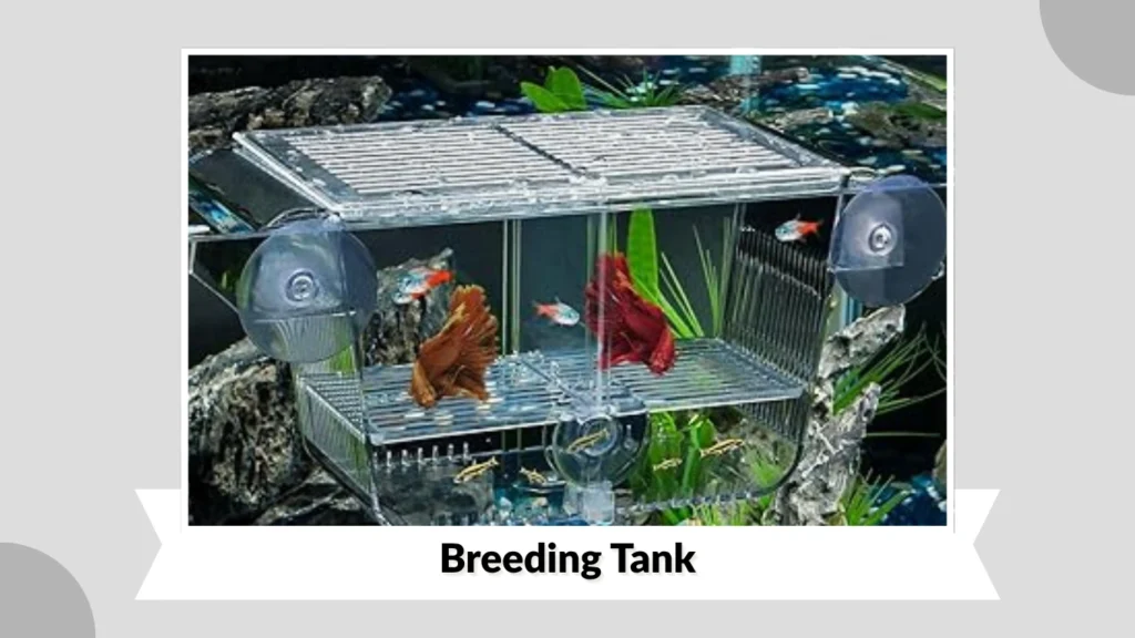 Breeding Tank
