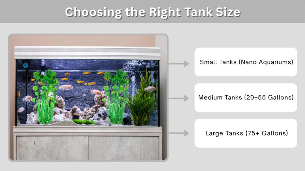 Choosing the Right Tank Size