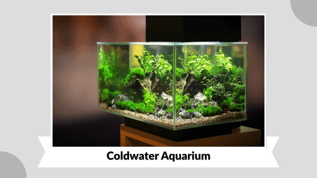 Coldwater Aquarium