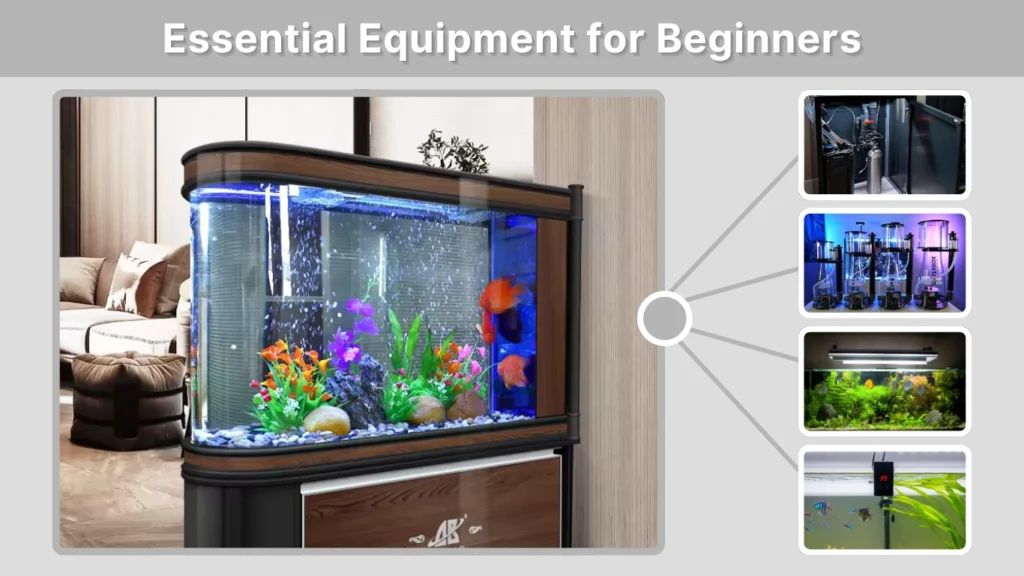 Essential Equipment for Beginners