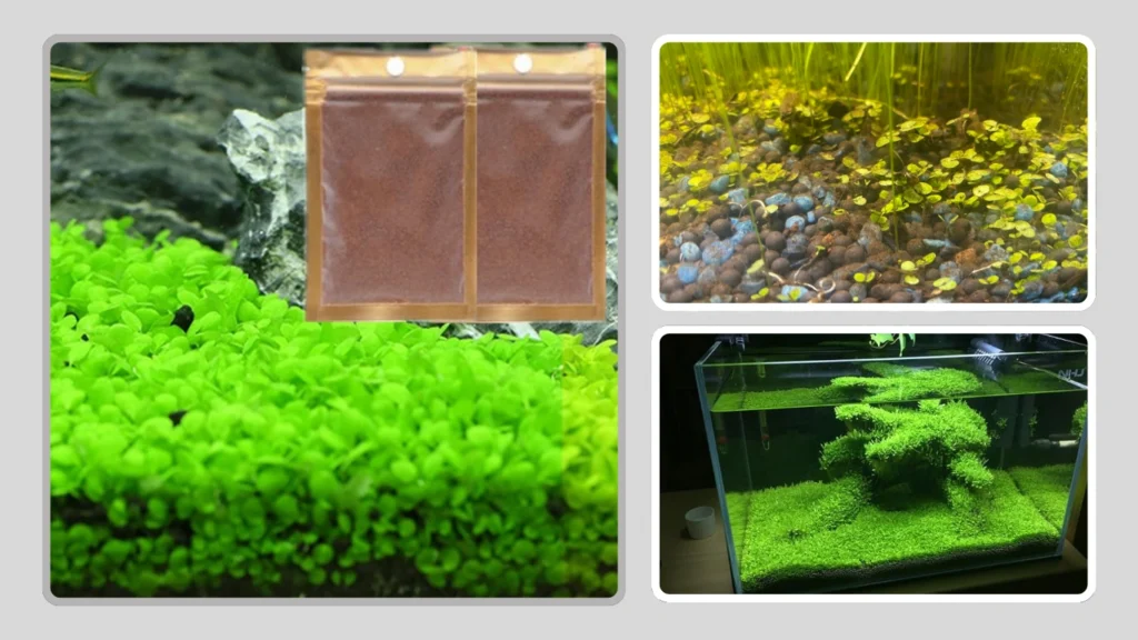 LUKAWES Aquarium Aquatic Foreground Plant