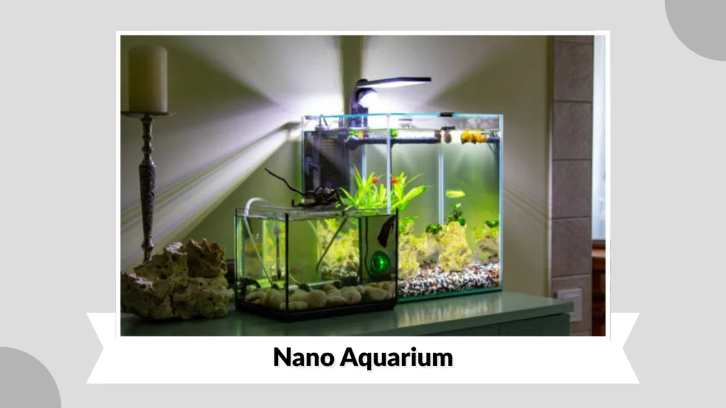 Nano Aquarium