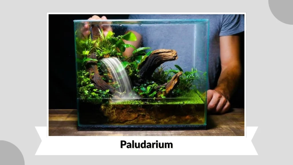 Paludarium