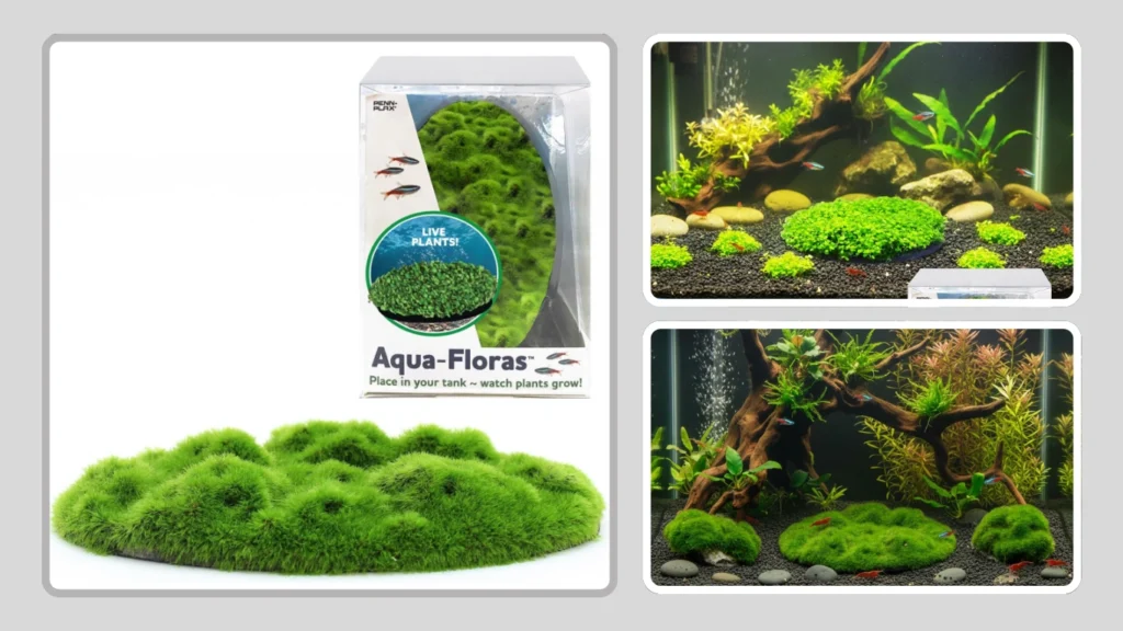 Penn-Plax Aqua-Flora Aquarium Decoration