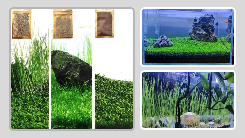 ZUQOVI Artificial Aquarium Plant with Substrate