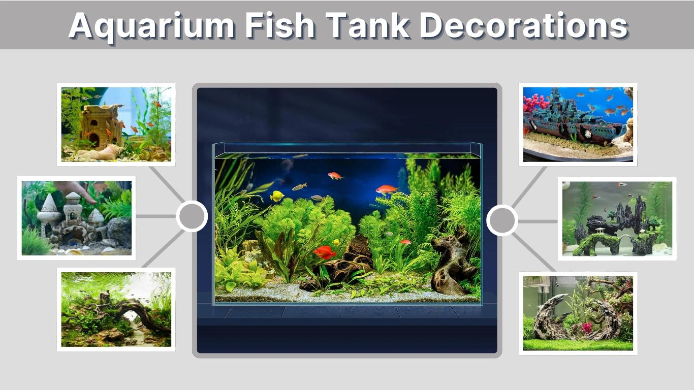 Aquarium Fish Tank Decorations: Ideas and Setup Guide