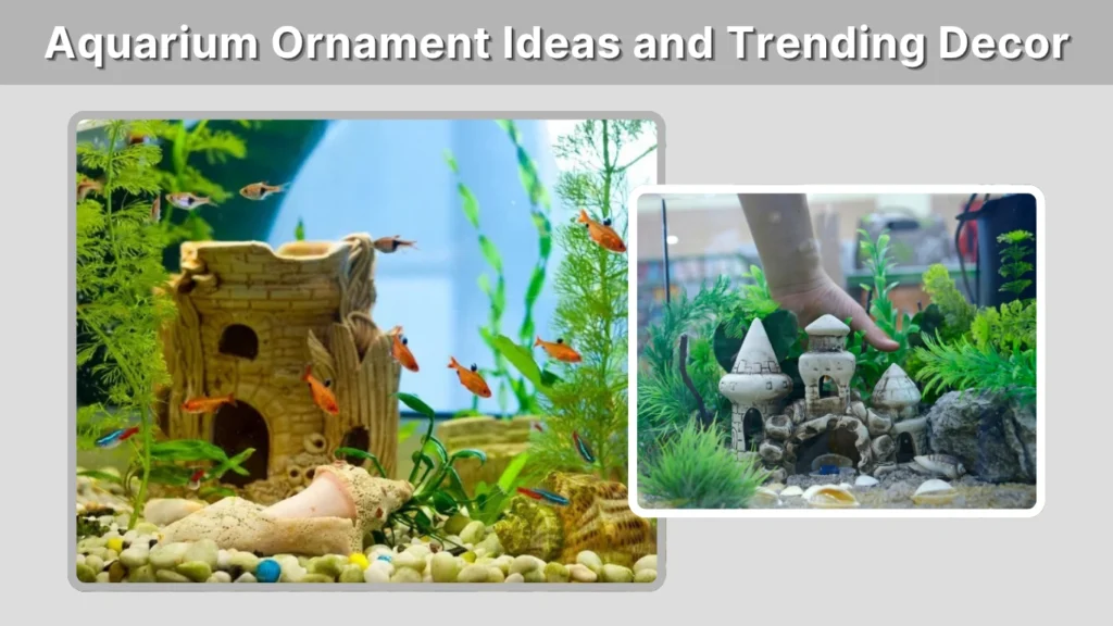 Aquarium Ornament Ideas and Trending Decor