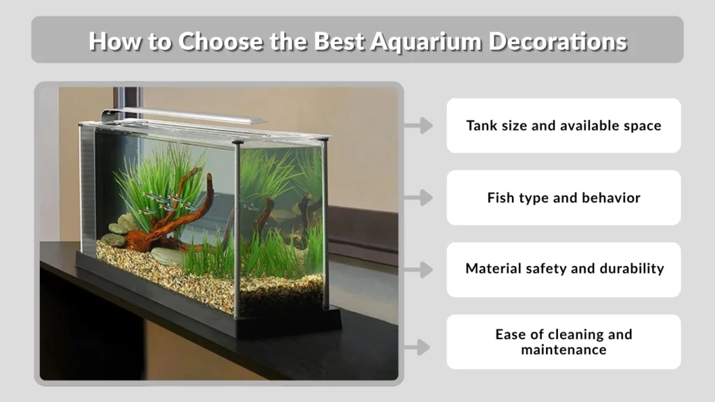 How to Choose the Best Aquarium Decorations