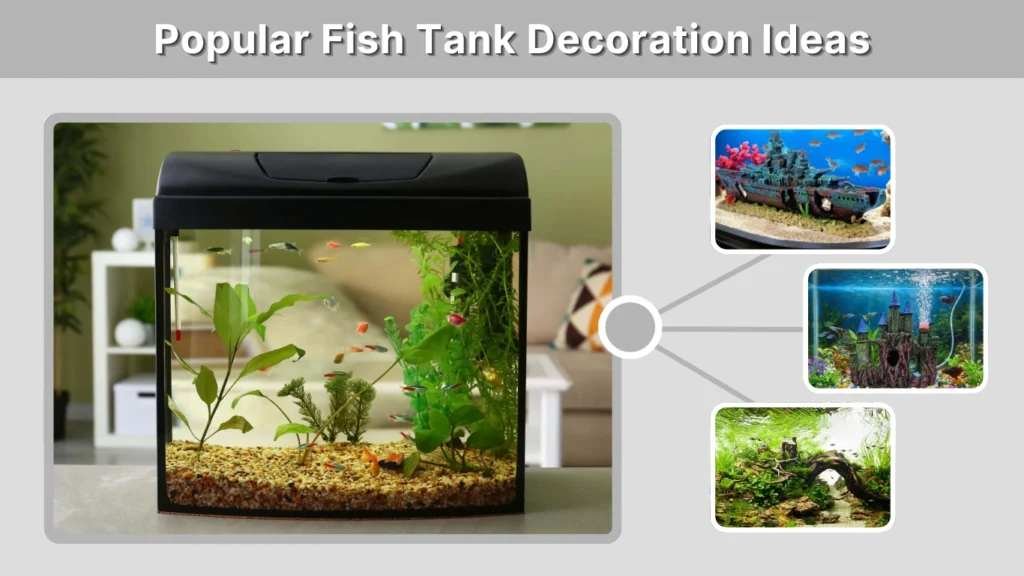 Popular Fish Tank Decoration Ideas
