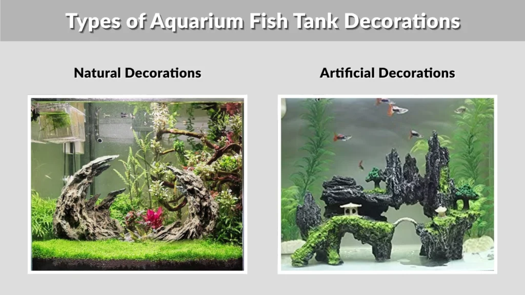 Types of Aquarium Fish Tank Decorations