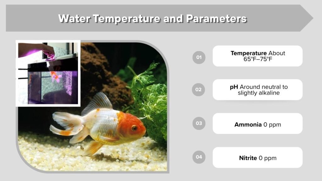 Water Temperature and Parameters
