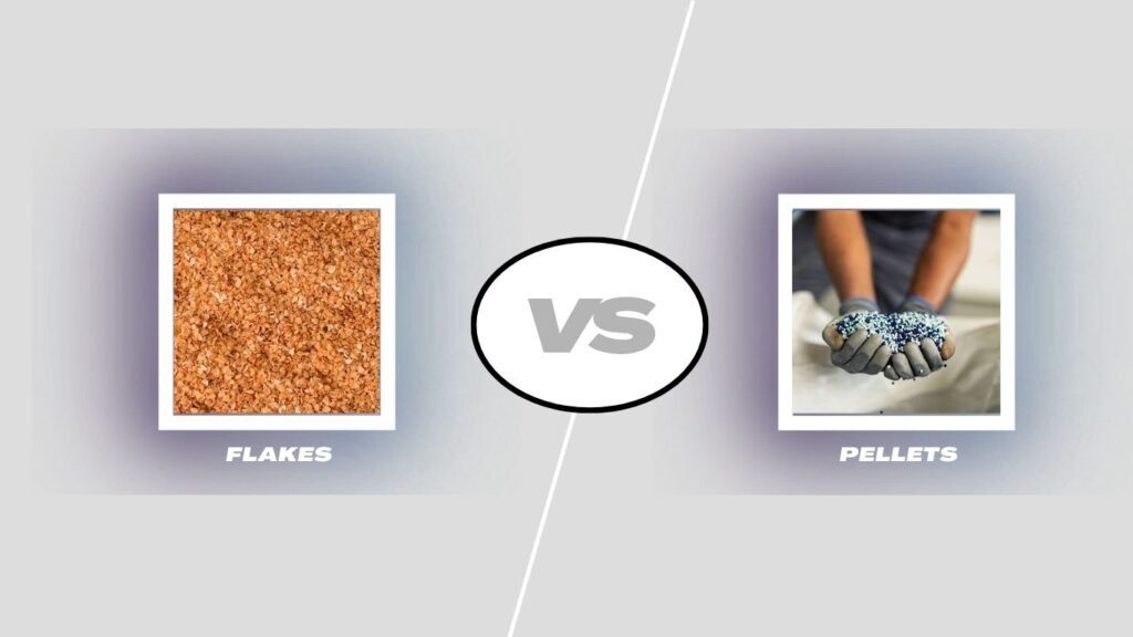 Tetra Fish Food Flakes vs Pellets