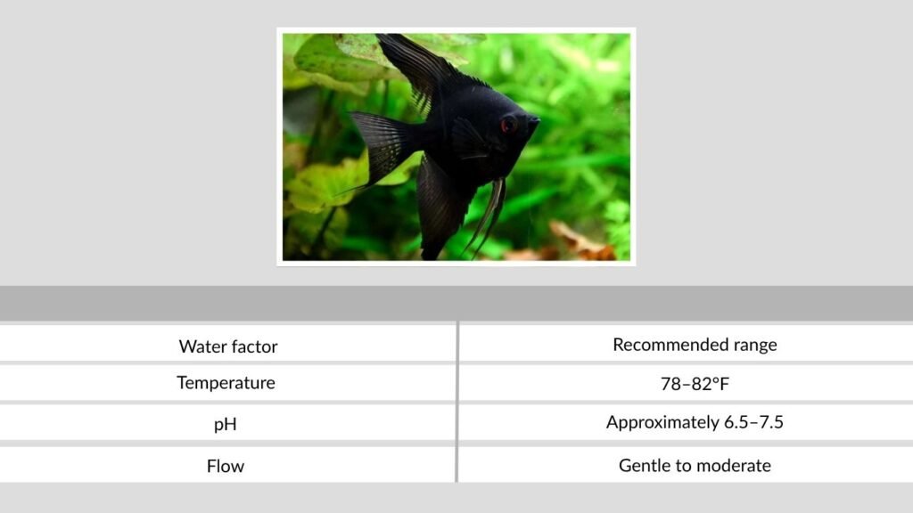 Water Conditions