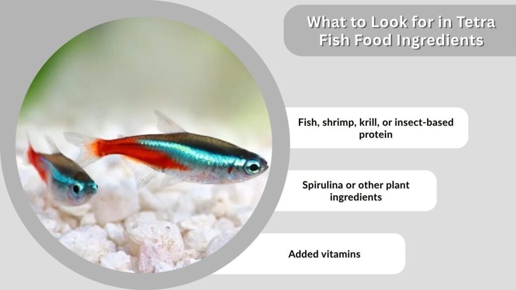 What to Look for in Tetra Fish Food Ingredients