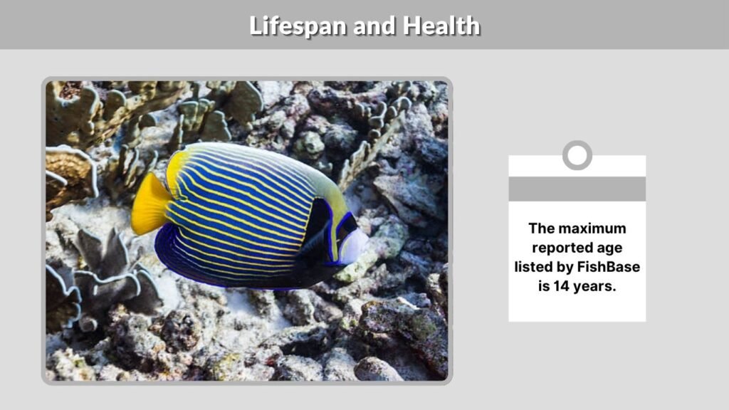 Lifespan and Health