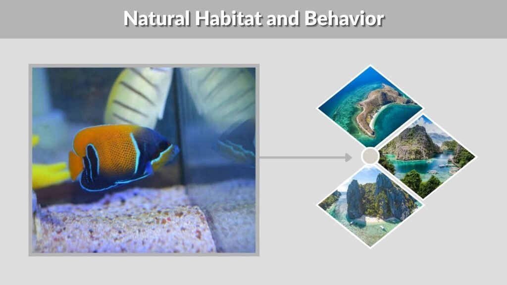 Natural Habitat and Behavior