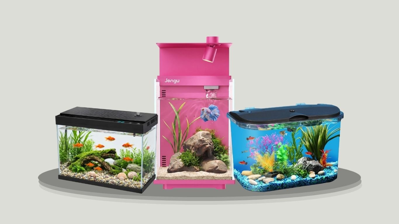 12 Best Desktop Fish Tanks for Small Spaces and Easy Care