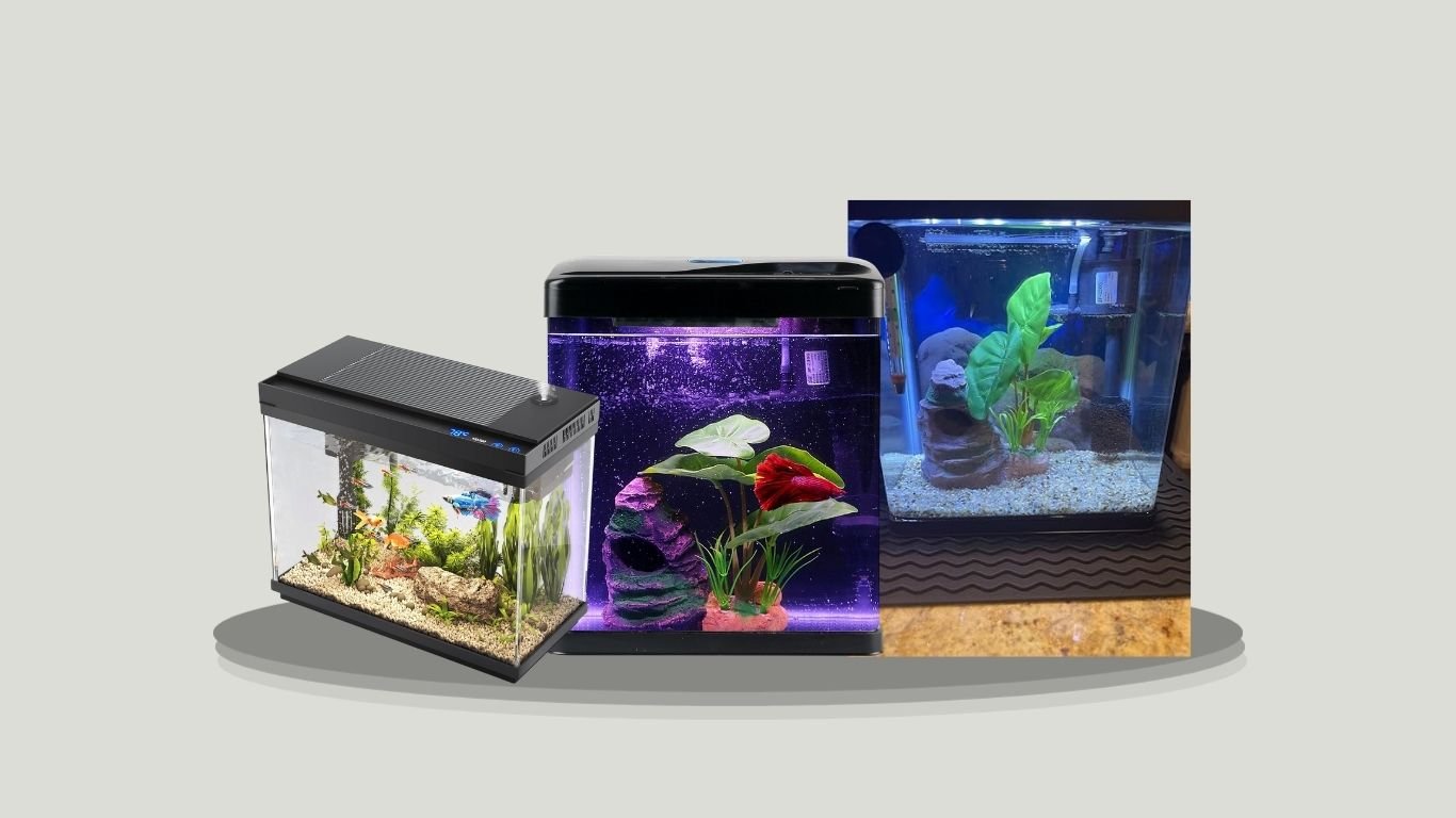 10 Best Aquarium Starter Kits for Beginners and Home Use