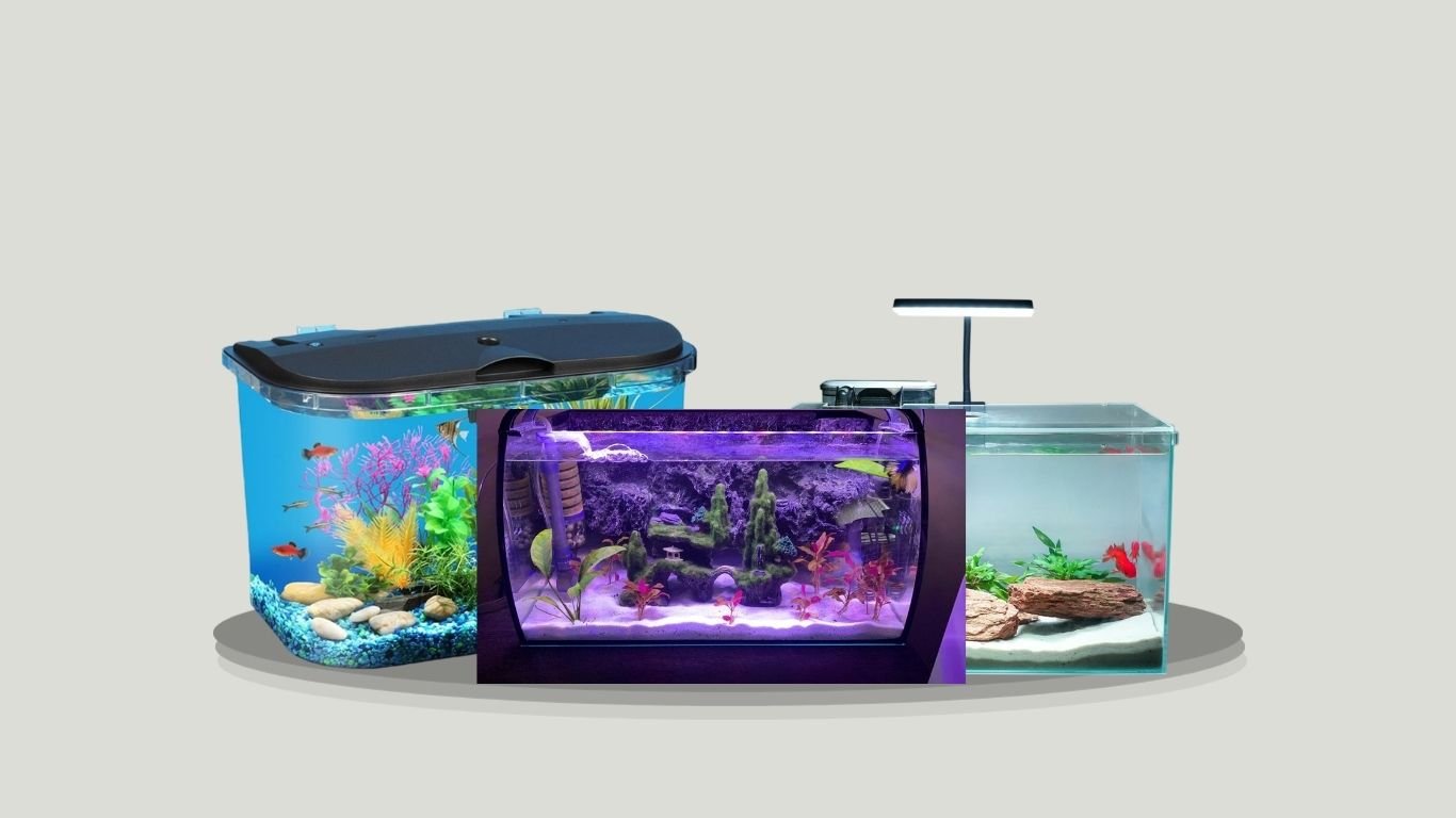 10 Best Fish Aquariums for Beginners and Home Use