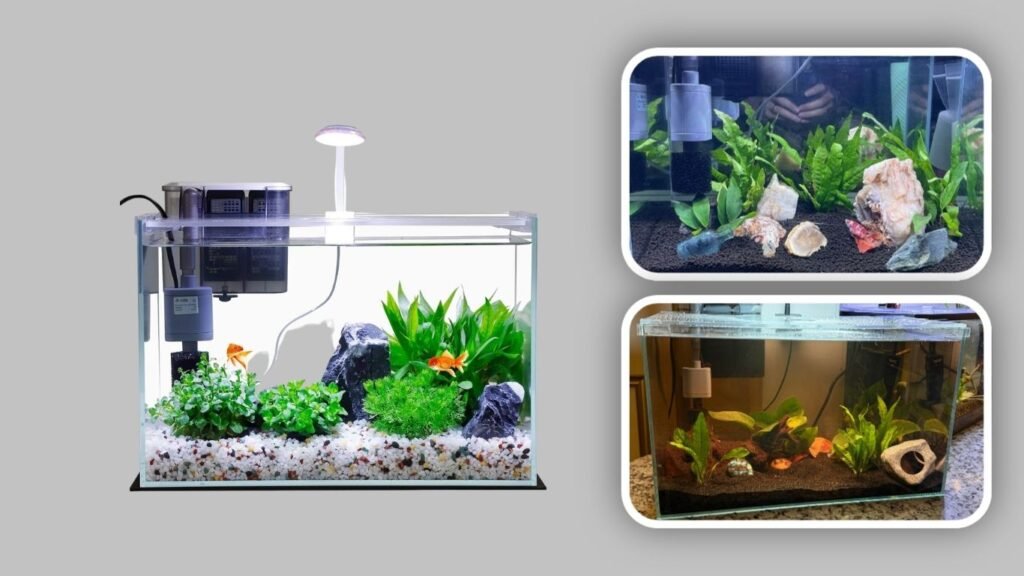 Glass Aquarium Starter Kit with Filter & Lights