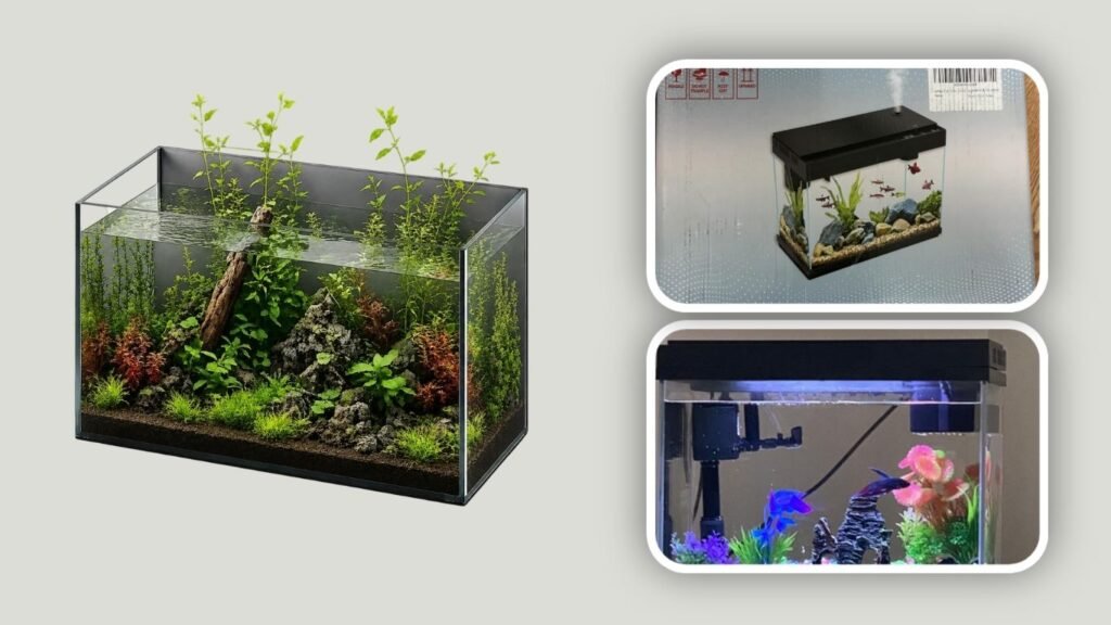  Acrylic Aquarium for Goldfish & Aquatic Plants