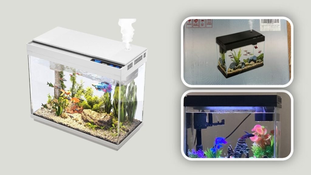  Vehipa Betta Gallon Aquarium Starter Kit
