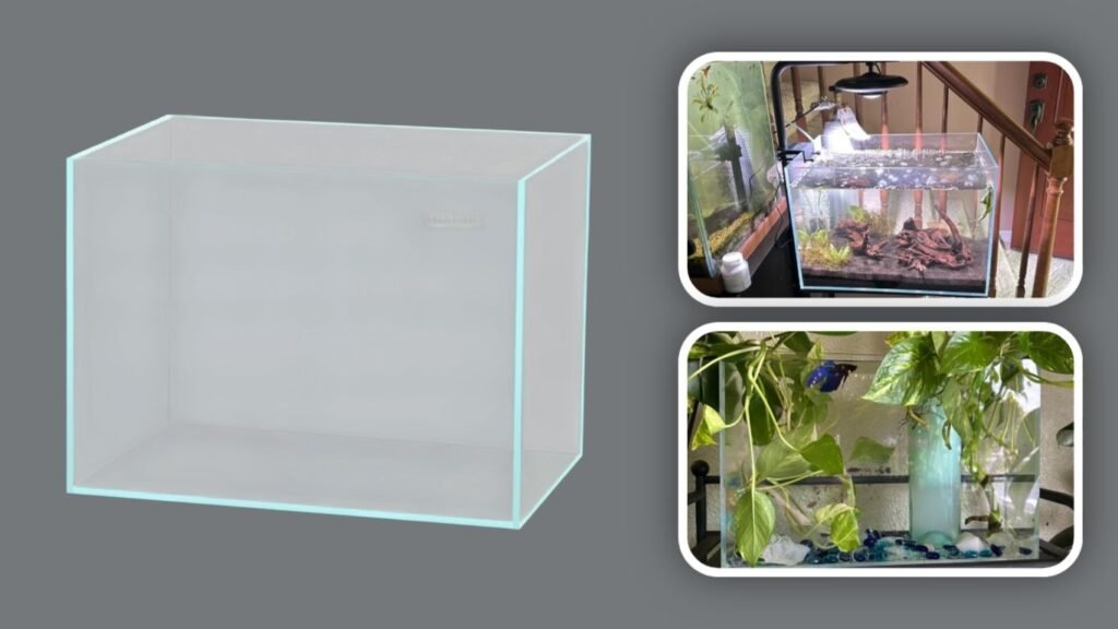 Allcolor Ultra-Clear Rimless Aquarium Tank