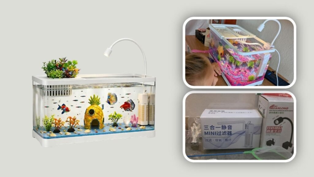 Gallon Aquarium Starter Kit with Filter & Light