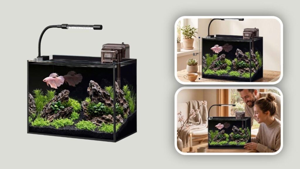 Rimless Glass Aquarium Starter Kit
