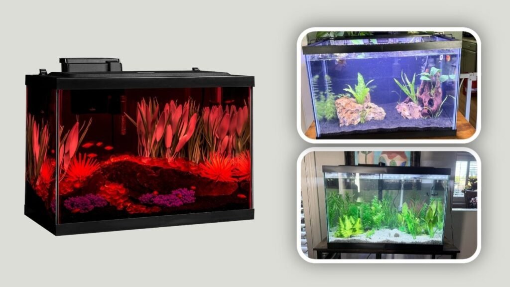 Tetra ColorFusion Aquarium with LED Lighting