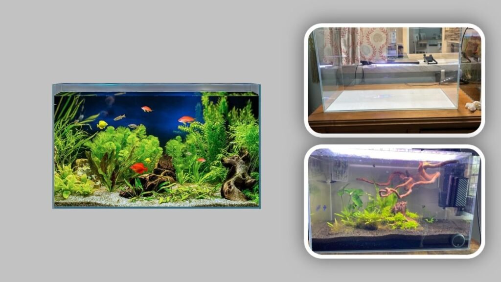 7. LAQUAL Rimless Aquarium Fish Tank