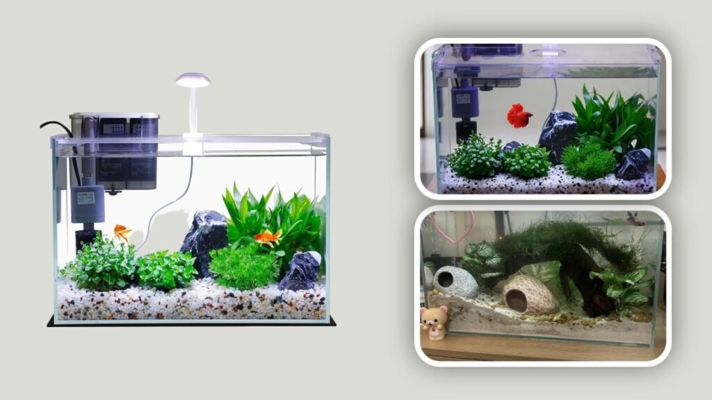 Glass Fish Tank Starter Kit with Filter & Lights