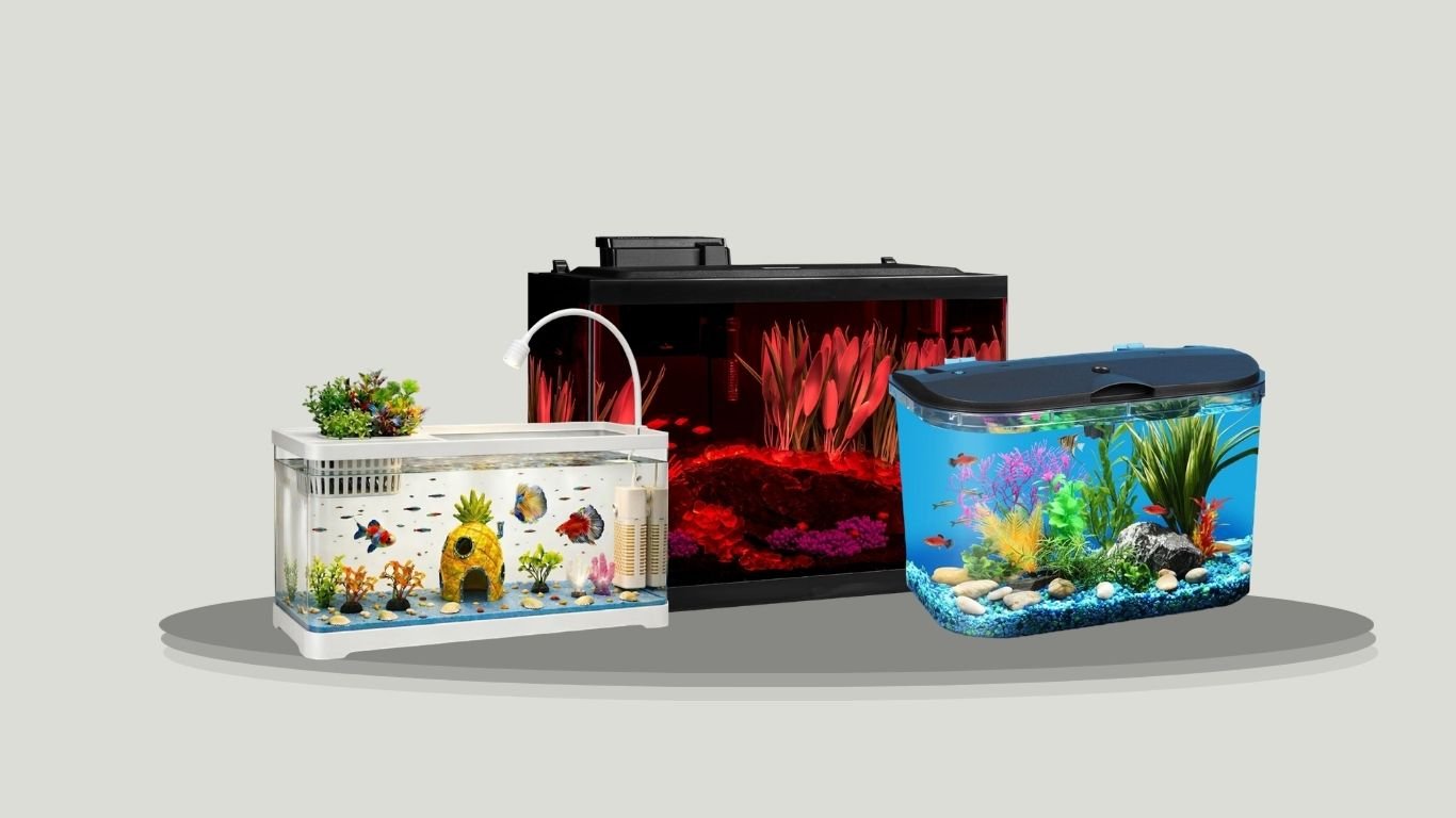 7 Best Acrylic Fish Tanks for Clear, Lightweight Aquarium Setups