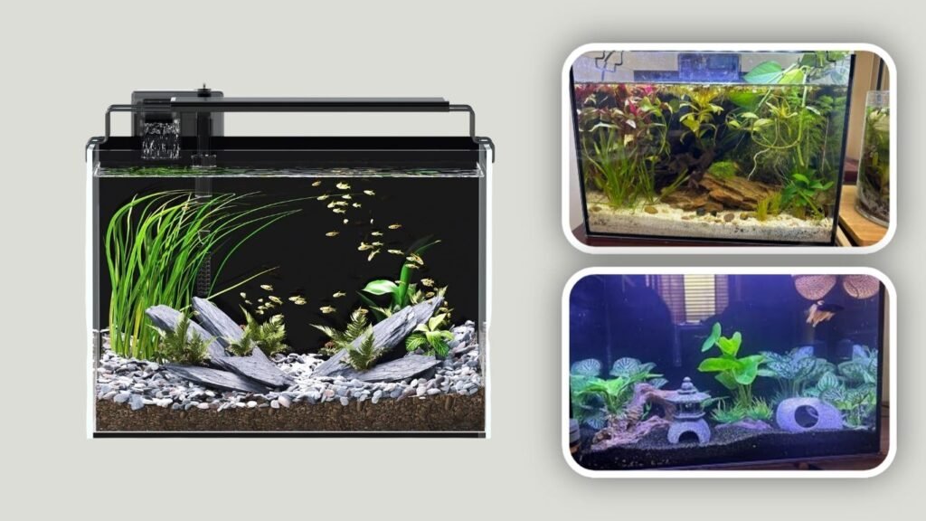 Self-Cleaning Rimless Aquarium Tank