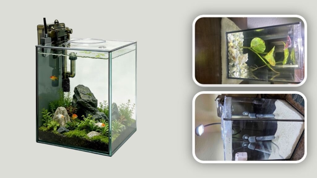 Turchongeco Ultra-Clear Rimless Desktop Aquarium