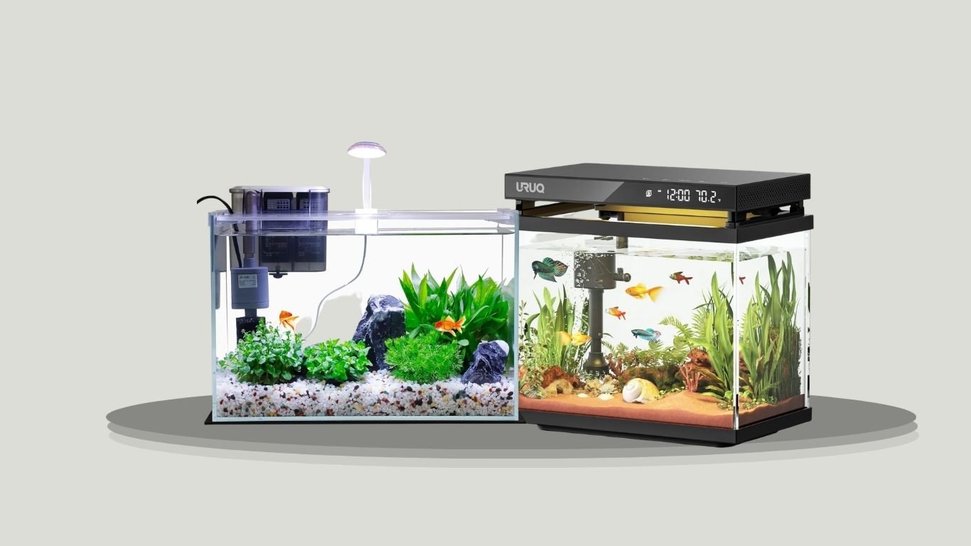 9 Best Glass Fish Aquariums for Clear and Stylish Setups