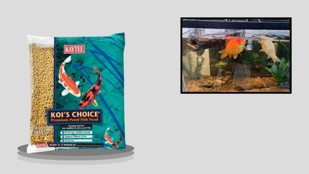 Kaytee Koi’s Choice Premium Fish Food