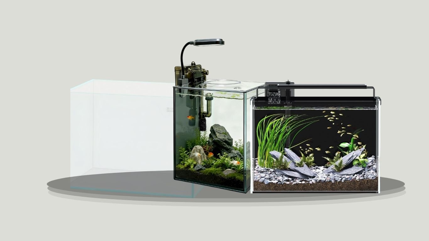 10 Best Rimless Aquarium Tanks for a Clean Modern Setup