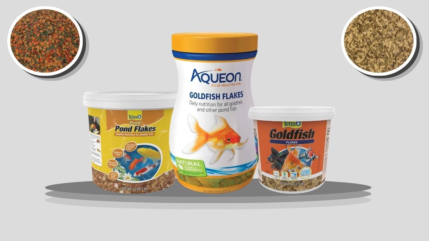 9 Best Goldfish Foods for Healthy Growth and Color