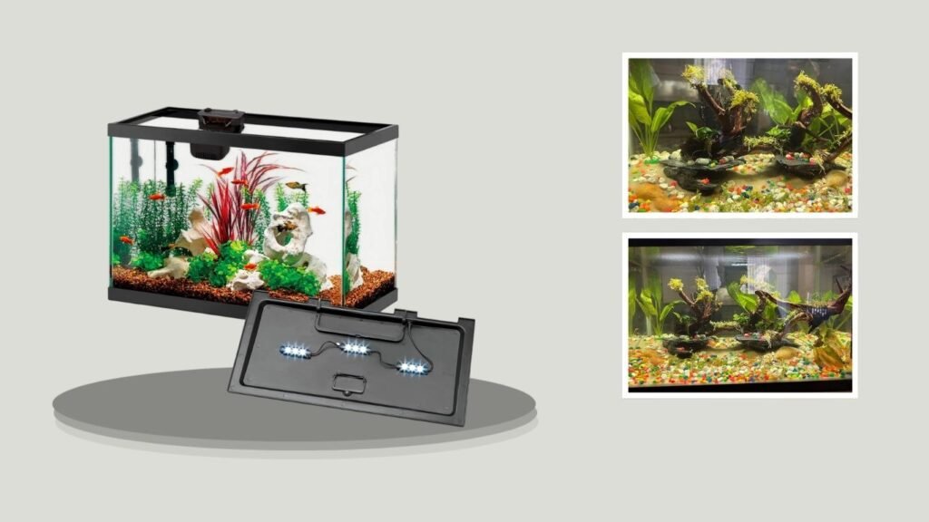 3. Aqueon Aquarium with SmartClean Filtration
