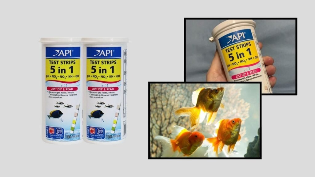 API Aquarium Test Strips – Freshwater & Saltwater