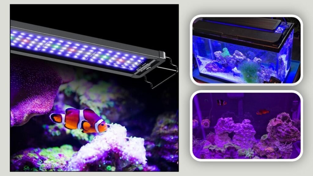 Pawfly 48W Saltwater Aquarium Light