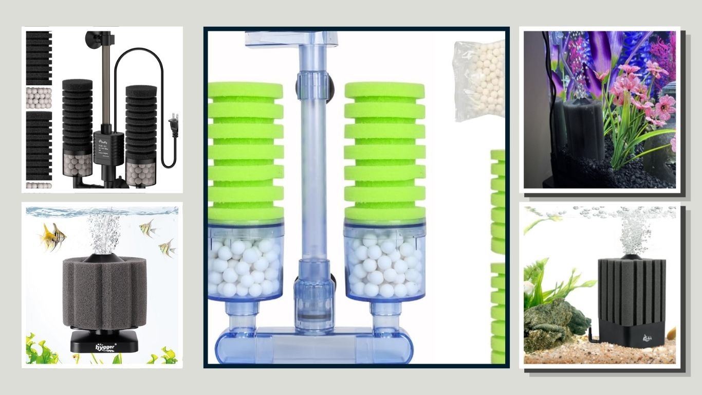 9 Best Sponge Filters for Clean and Healthy Aquariums