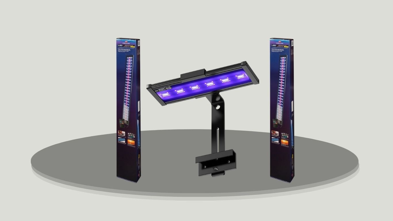 9 Best Saltwater Aquarium Lights for Coral, Fish, and Reef Tanks