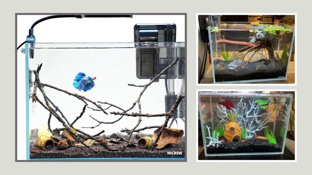 NICREW Ultra-Clear Rimless Desktop Aquarium