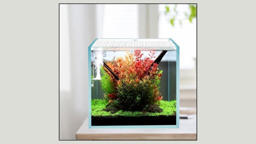 QoTang 4-Piece Aquarium Lid Hood