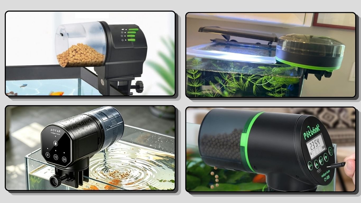 11 Best Automatic Fish Feeders for Aquariums in 2026
