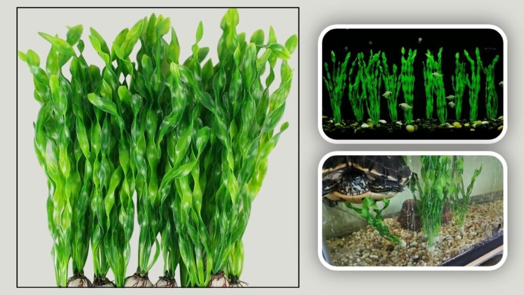 MyLifeUNIT Artificial Seaweed Aquarium Plants