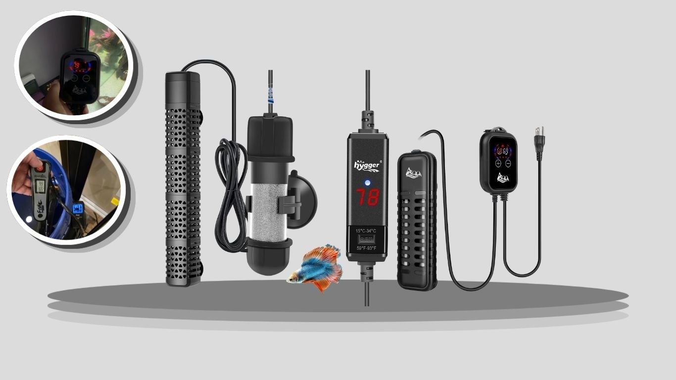 9 Best Aquarium Heaters for Stable and Safe Water Temperature